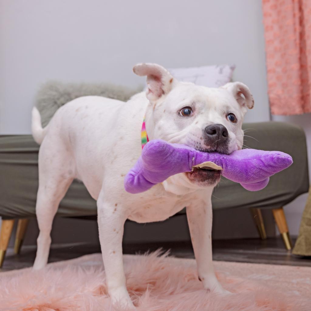 Patti Mayonnaise — thumbnail 5