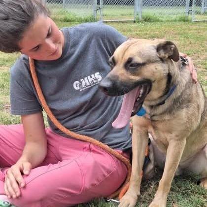 Enlarge Levi, a Adoptable mixed breed in Gloucester, VA image 5/6