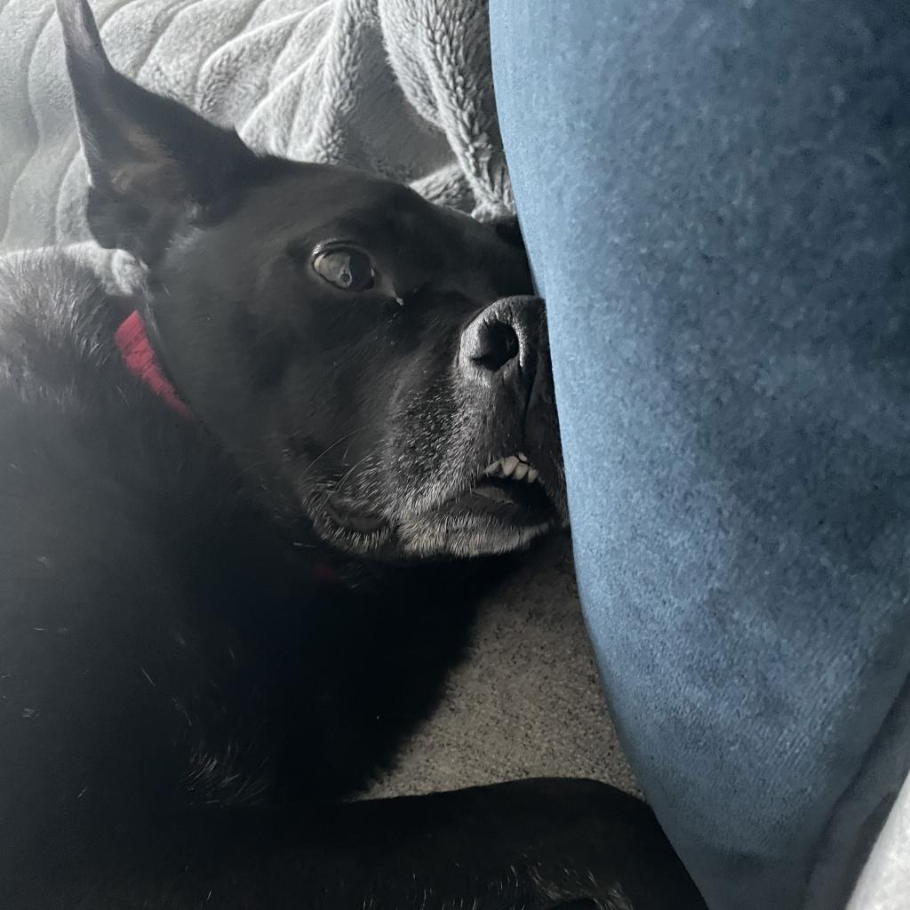 Randy — thumbnail 6