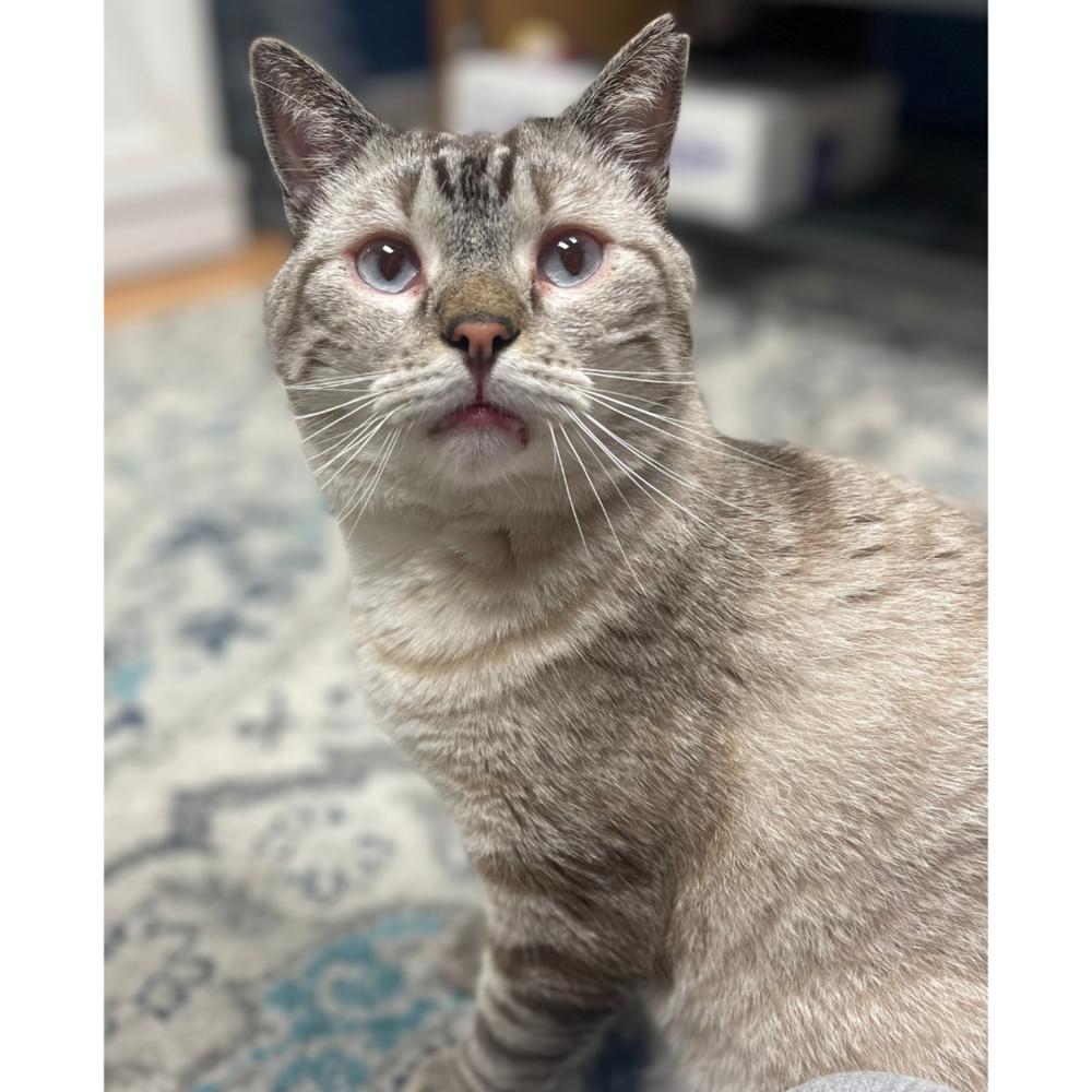 Condor Church thumbnail 3