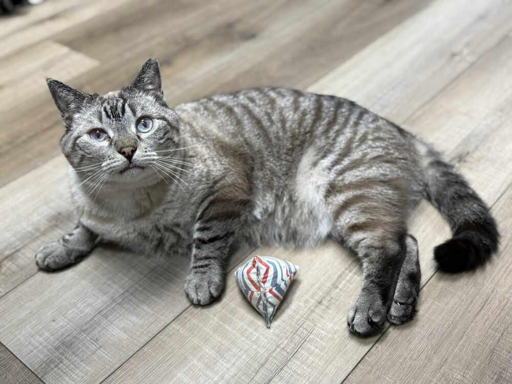 Condor Church thumbnail 5