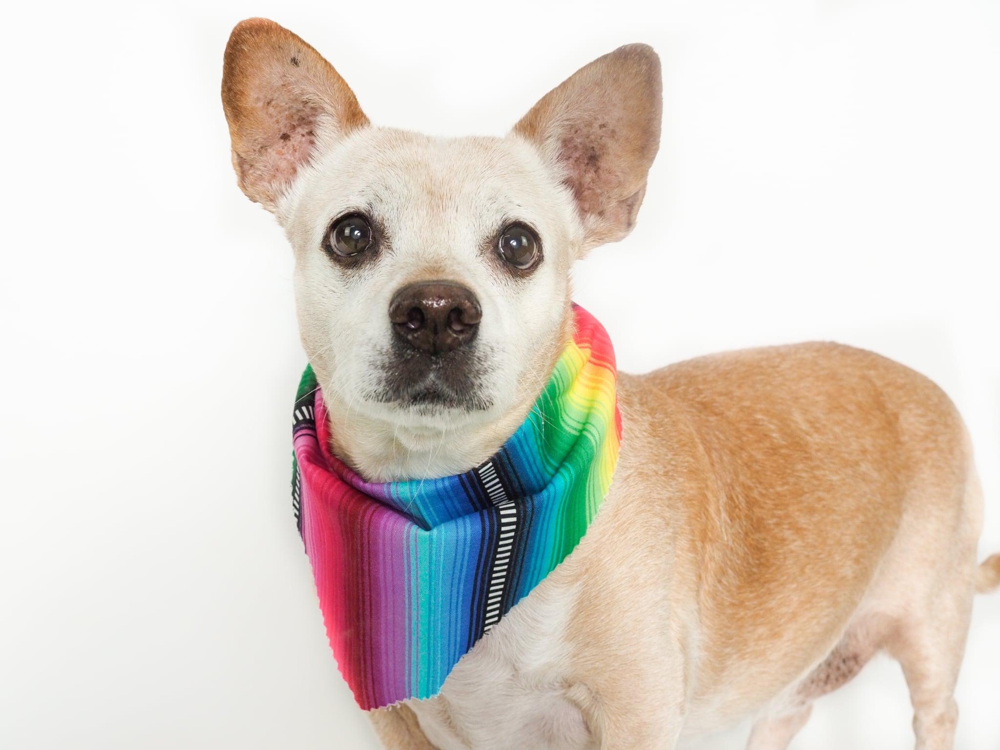 Chirris — thumbnail 2