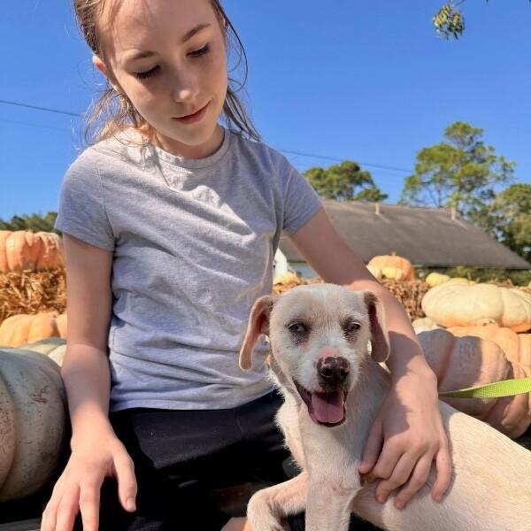 Castiel — thumbnail 3