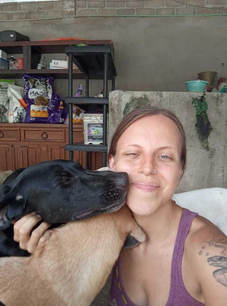 Enlarge Osa (CP), a Adoptable mixed breed in San Diego, CA image 4/6