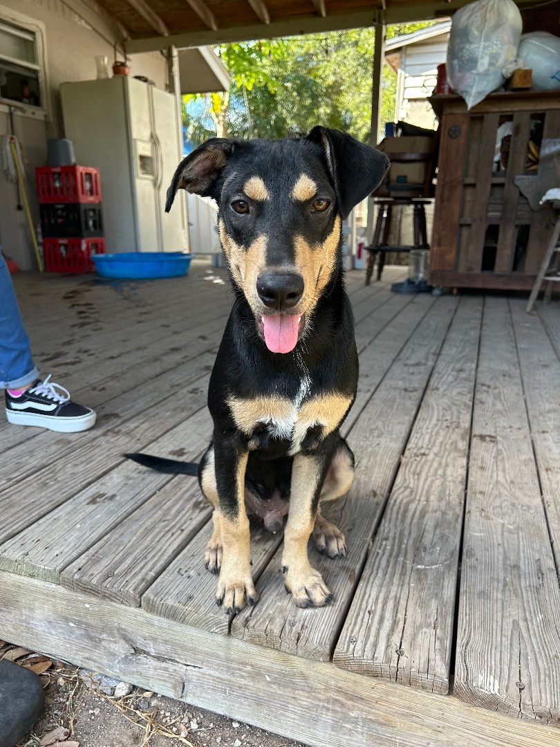 Charlie photo 2