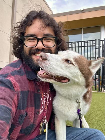 Wolfie, a Adoptable mixed breed in Wichita, KS image 1/3