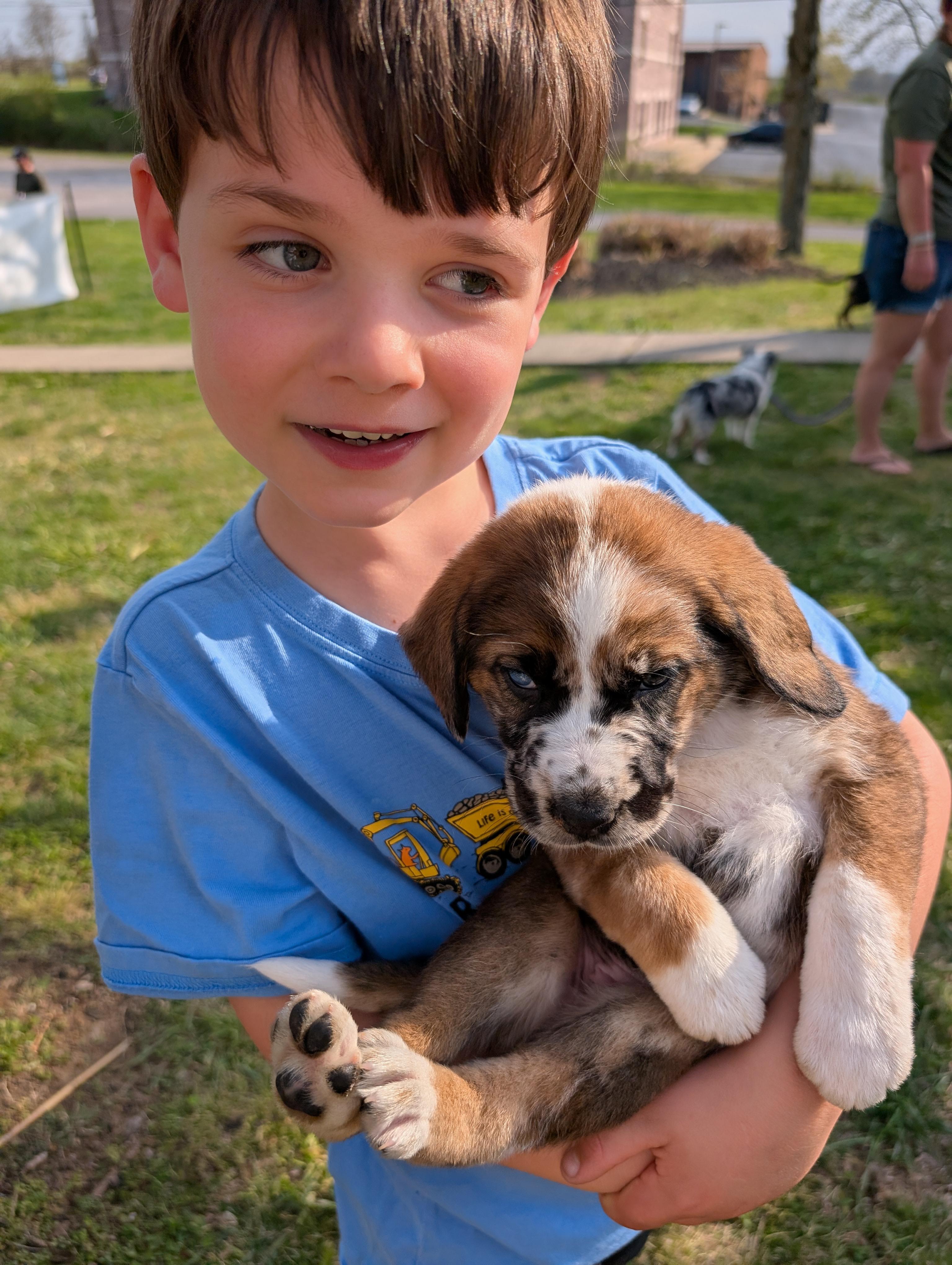 Green “Bean”, an adopted mixed breed in Spring hill, TN image 5/5