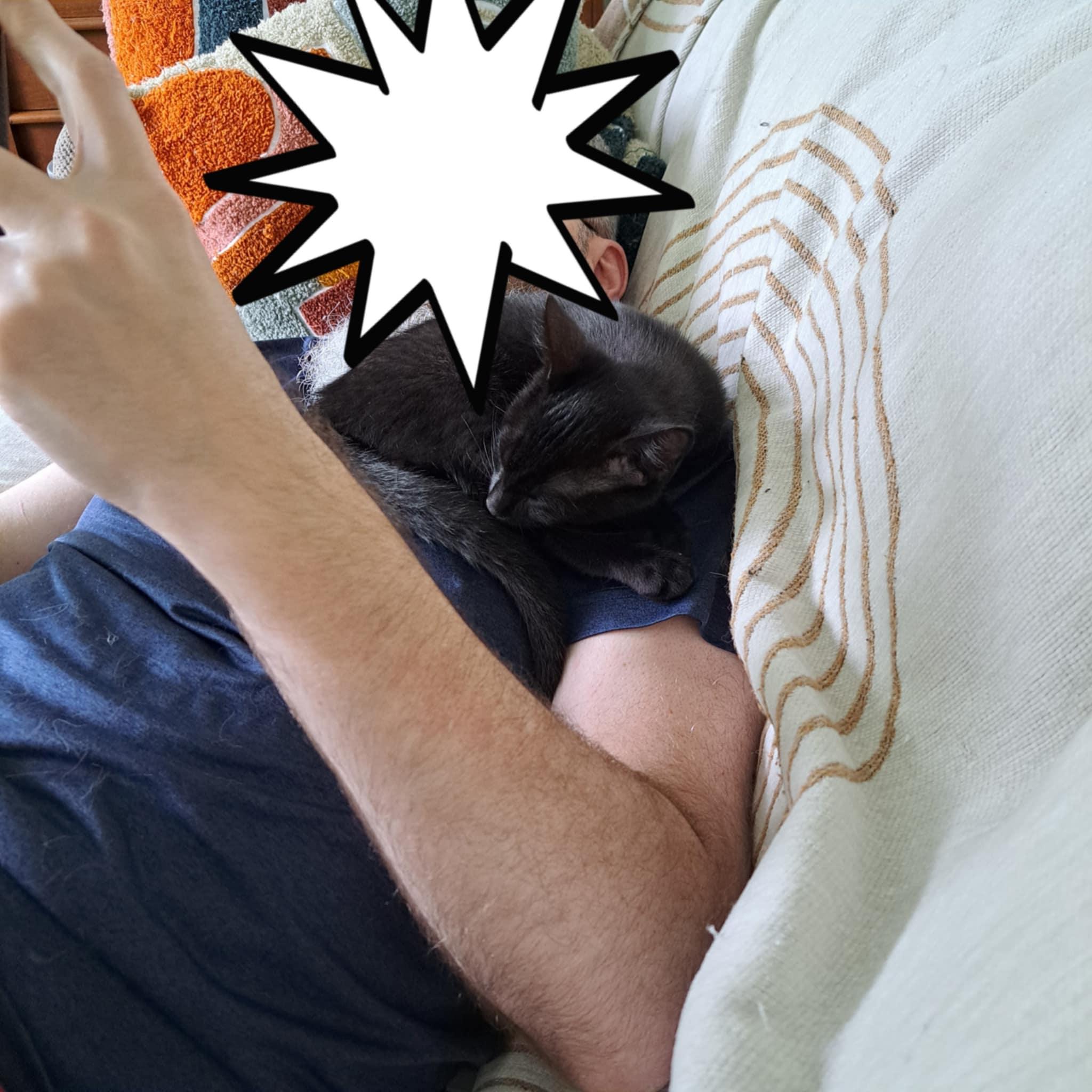 Bentley =^.^=