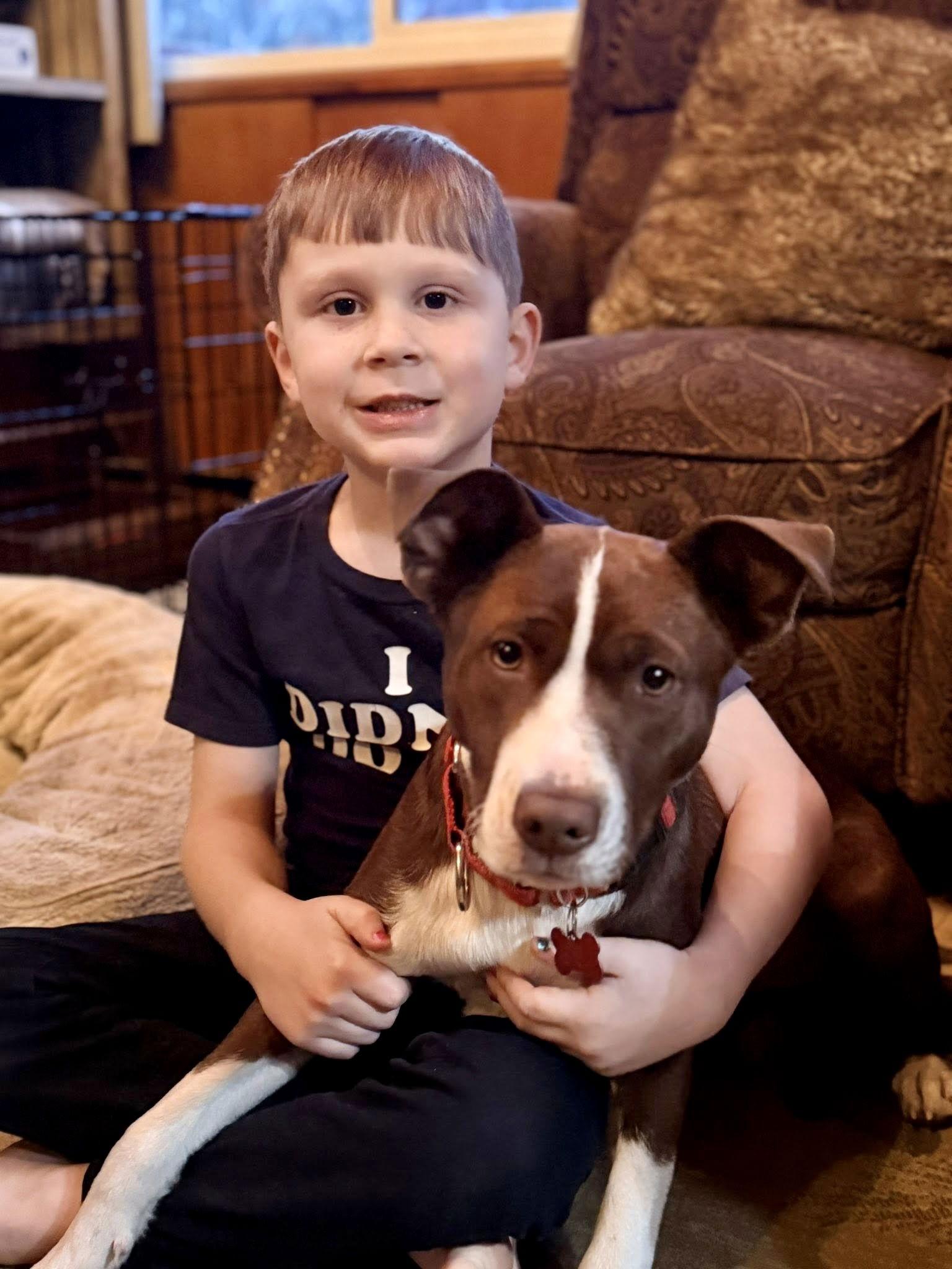 Enlarge Wanda, a Adoptable mixed breed in Blackwood, NJ image 2/3