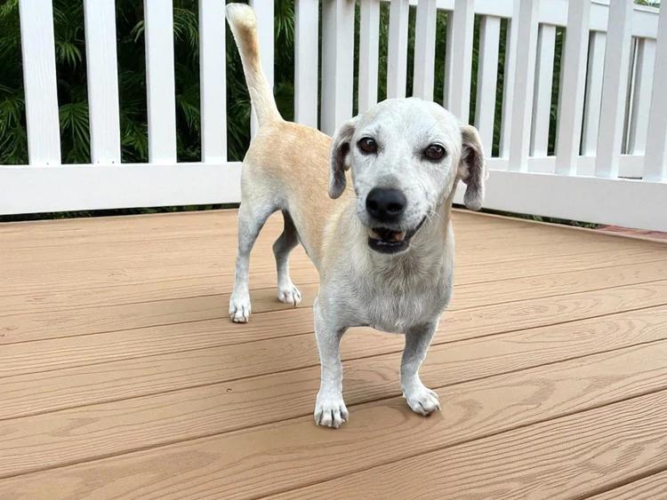 Armani — thumbnail 3