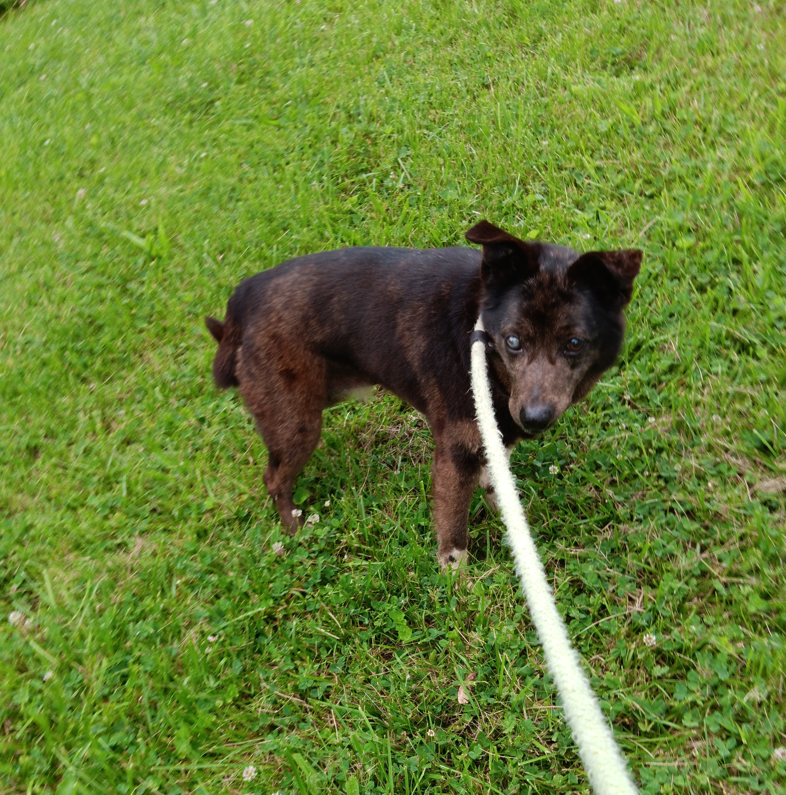 Tina, Senior Female unknown