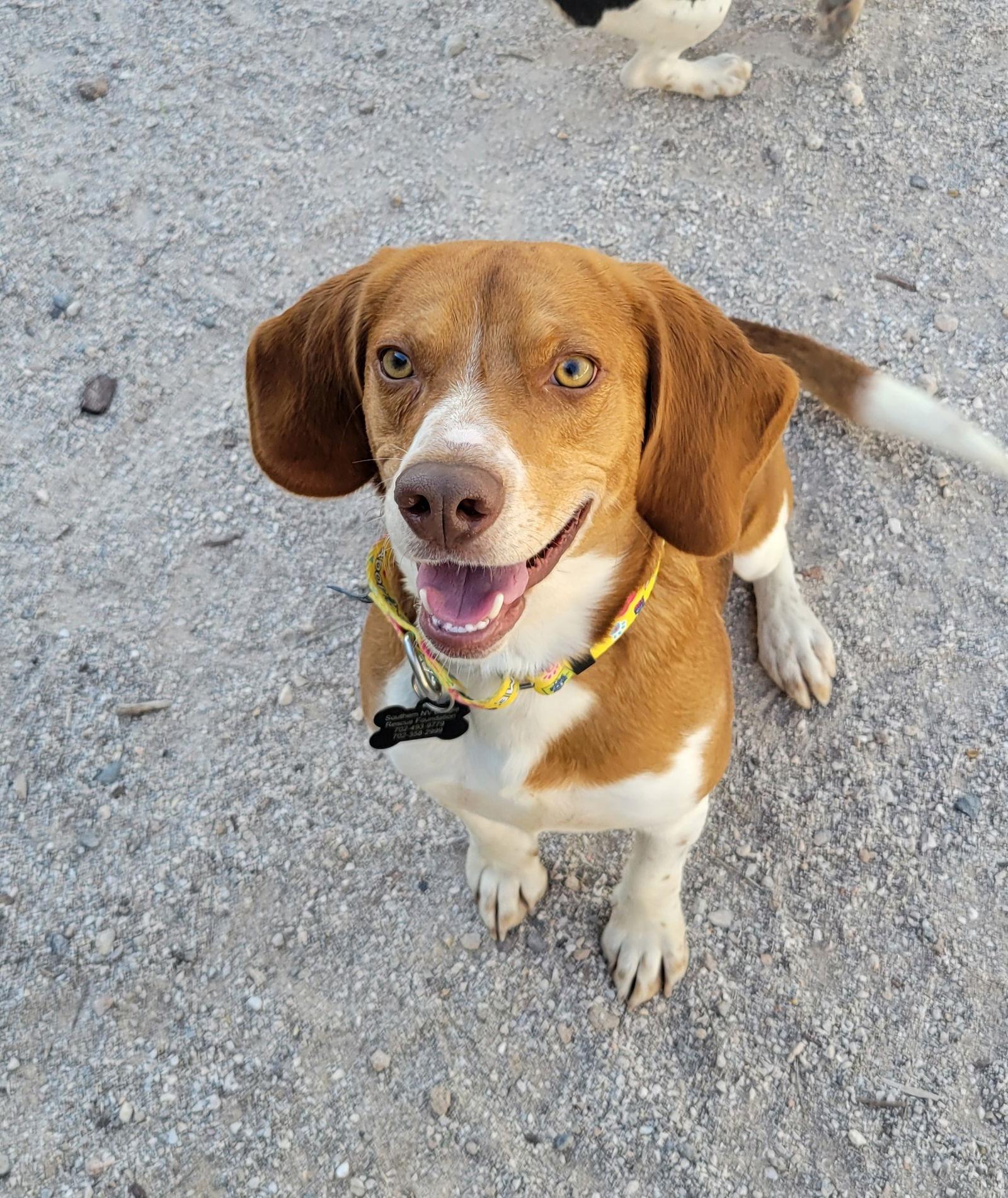 Cheeky — thumbnail 3