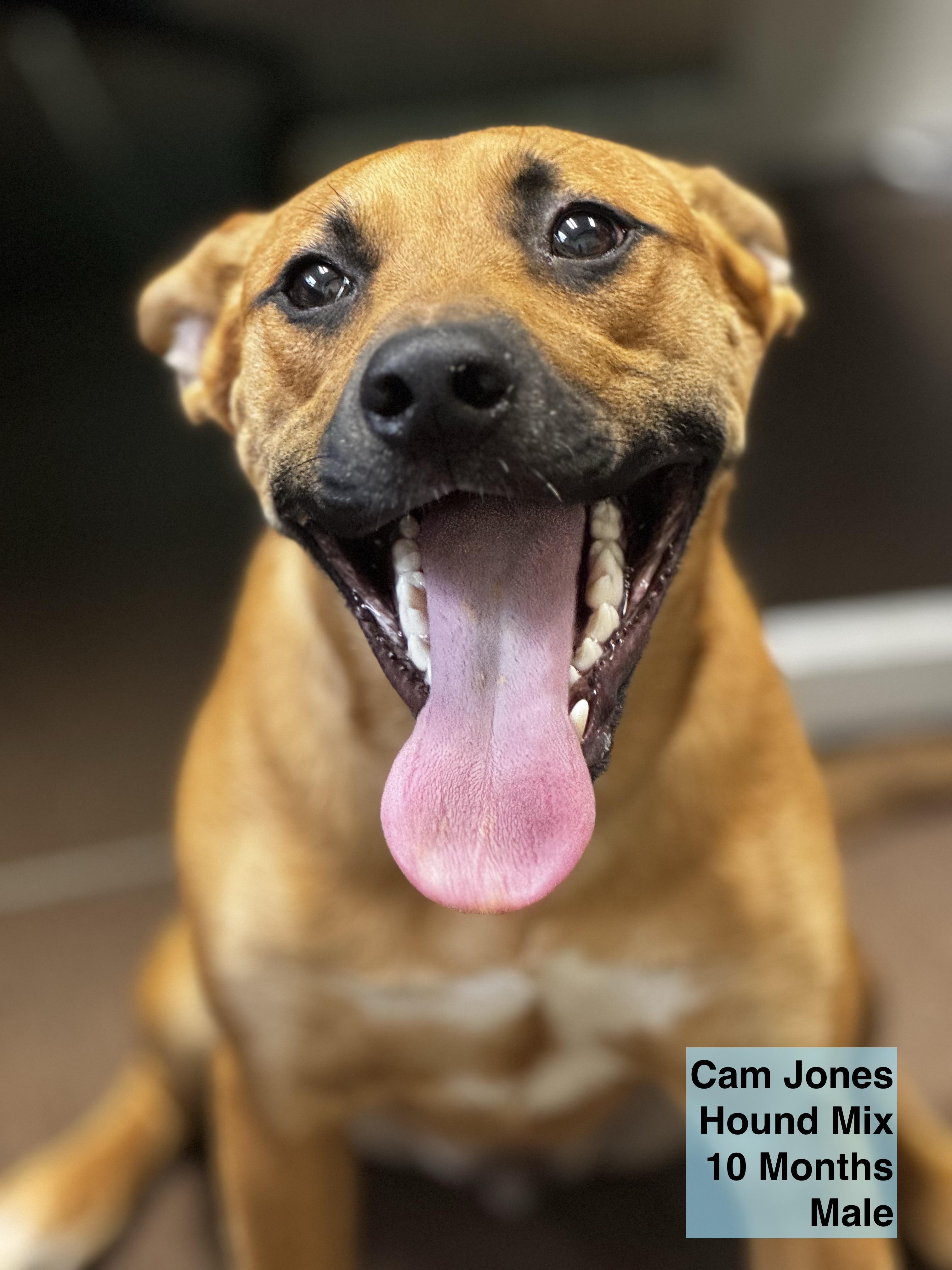 Cam Jones