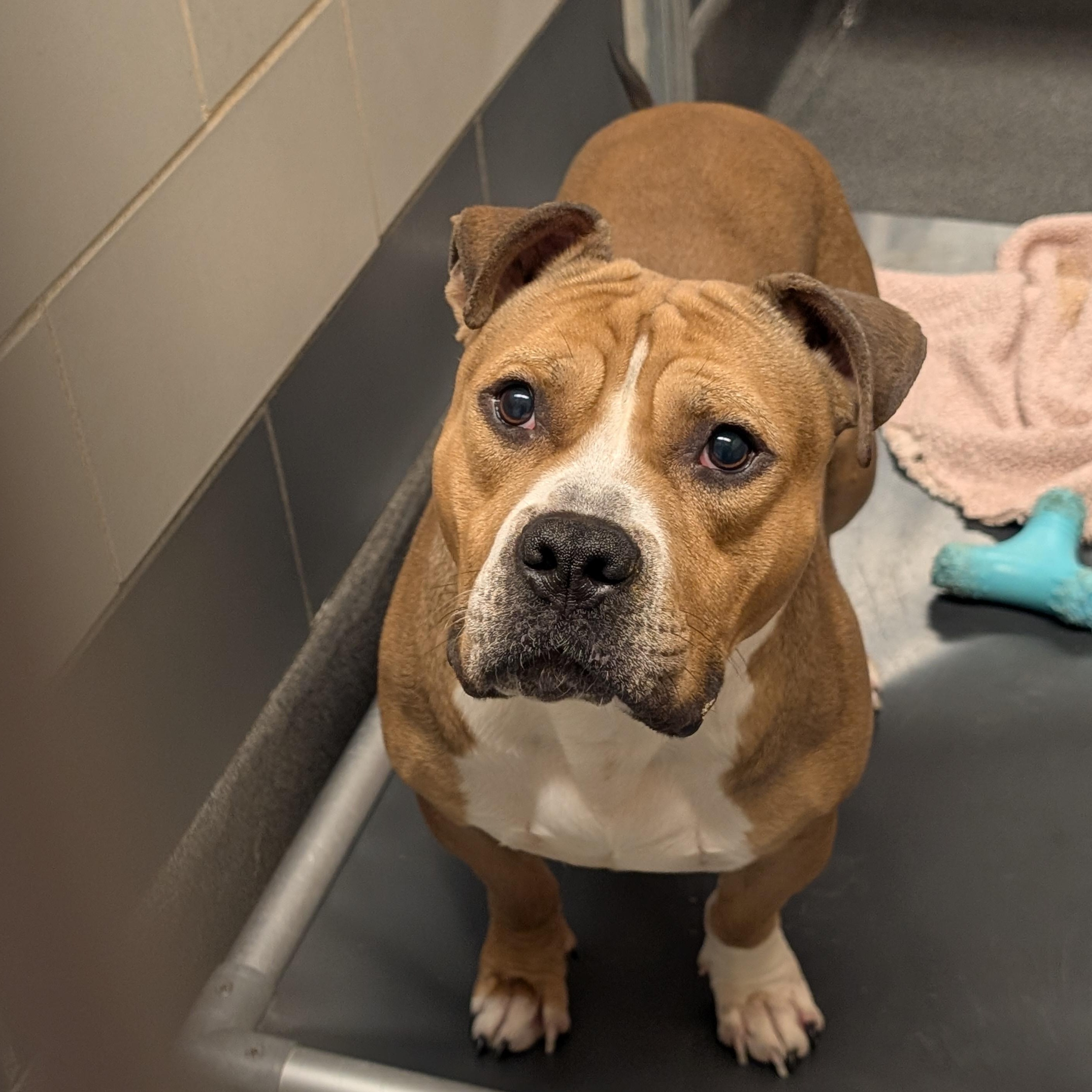 Mort — thumbnail 2