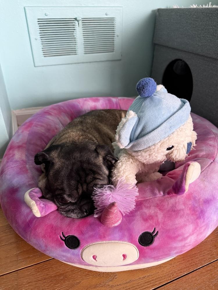 Ole Teddy thumbnail 2