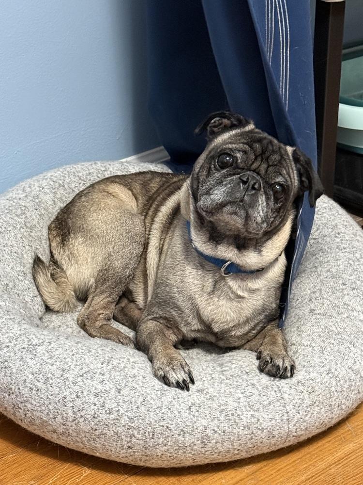 Ole Teddy thumbnail 3