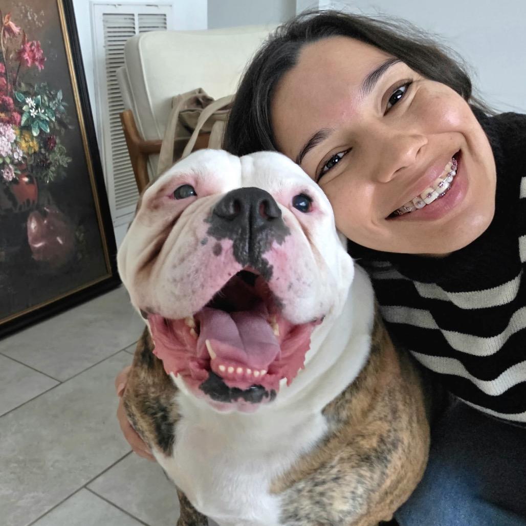 Rosie, a Adoptable American Bulldog in Conroe, TX image 3/4