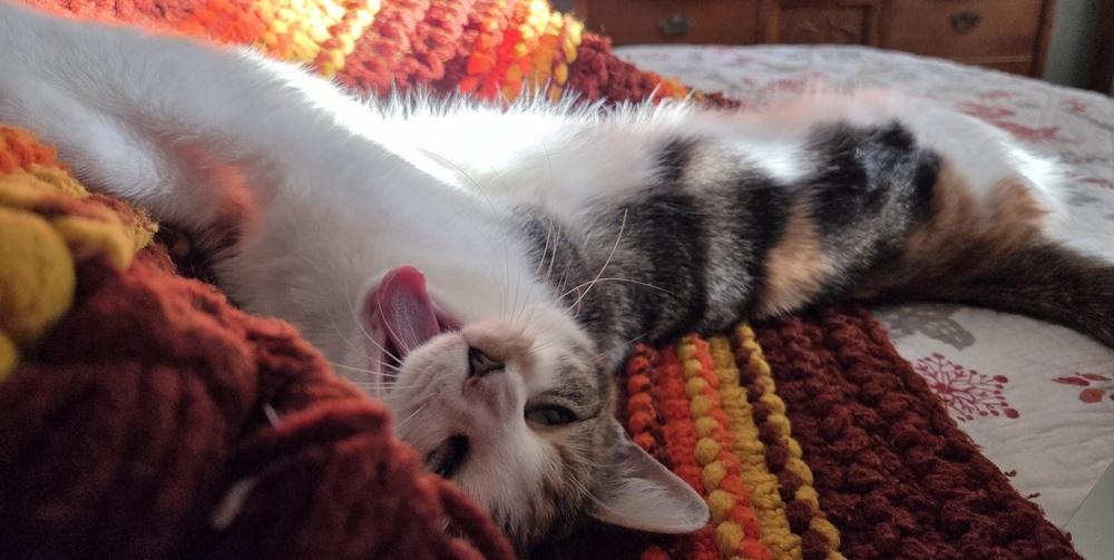 Fancy Nancy — thumbnail 2