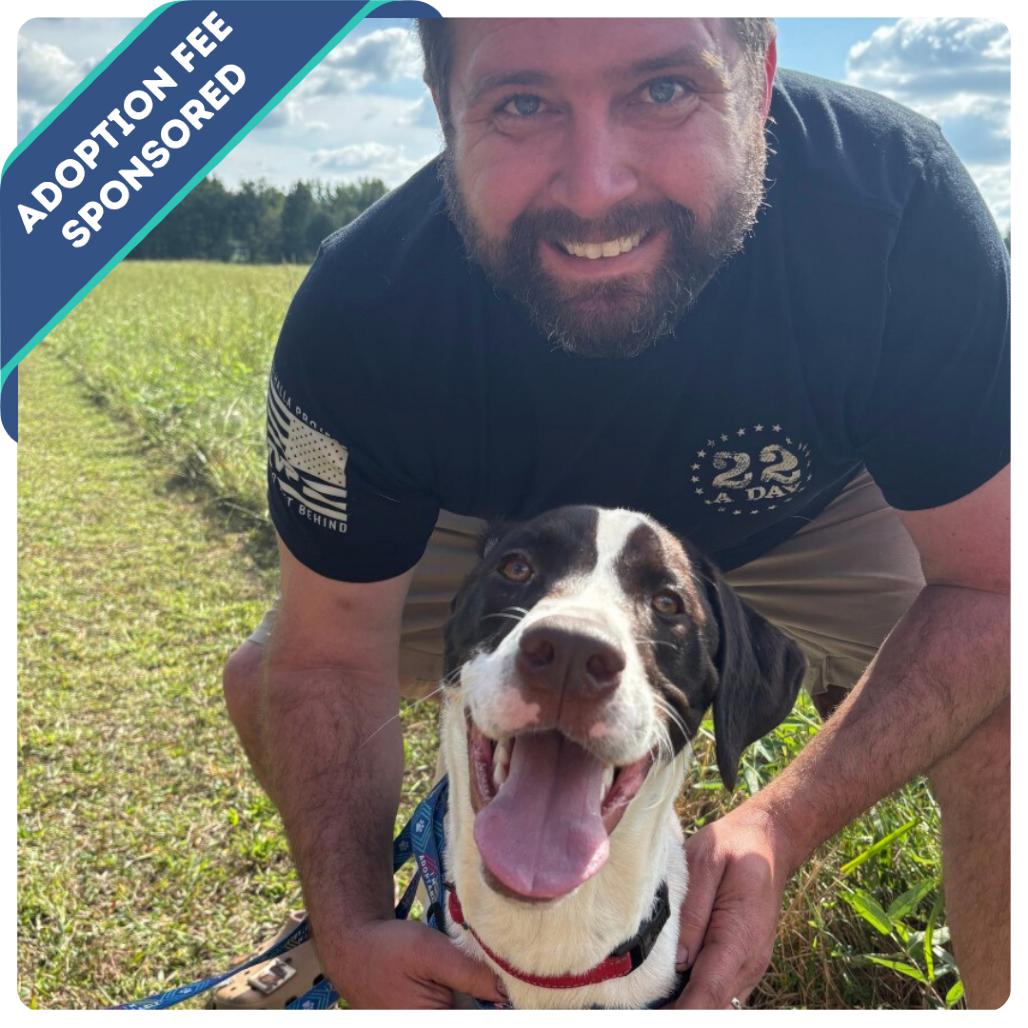 Klondike, a Adoptable Mixed Breed in Fredericksburg, VA image 6/6