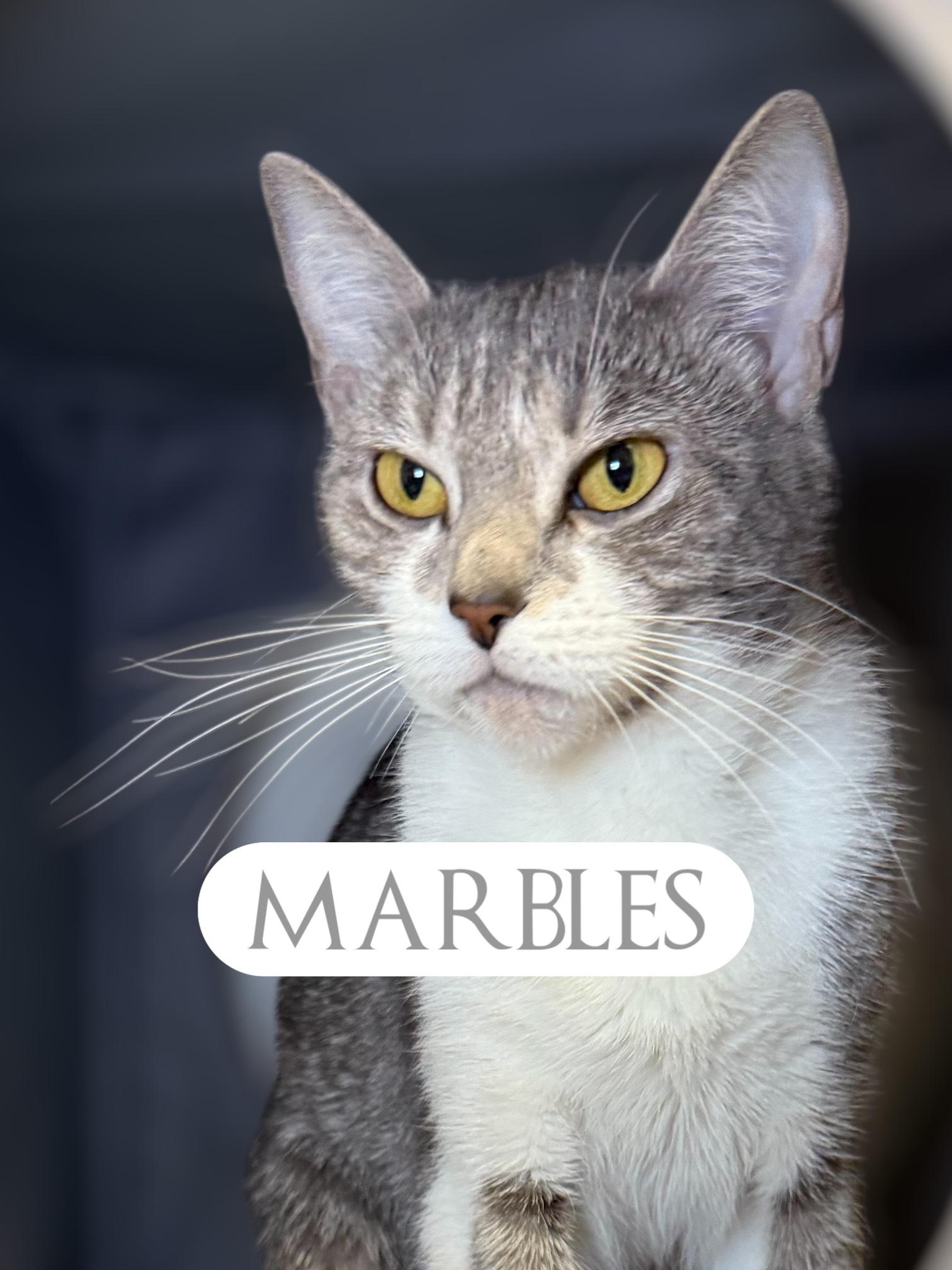 Marbles