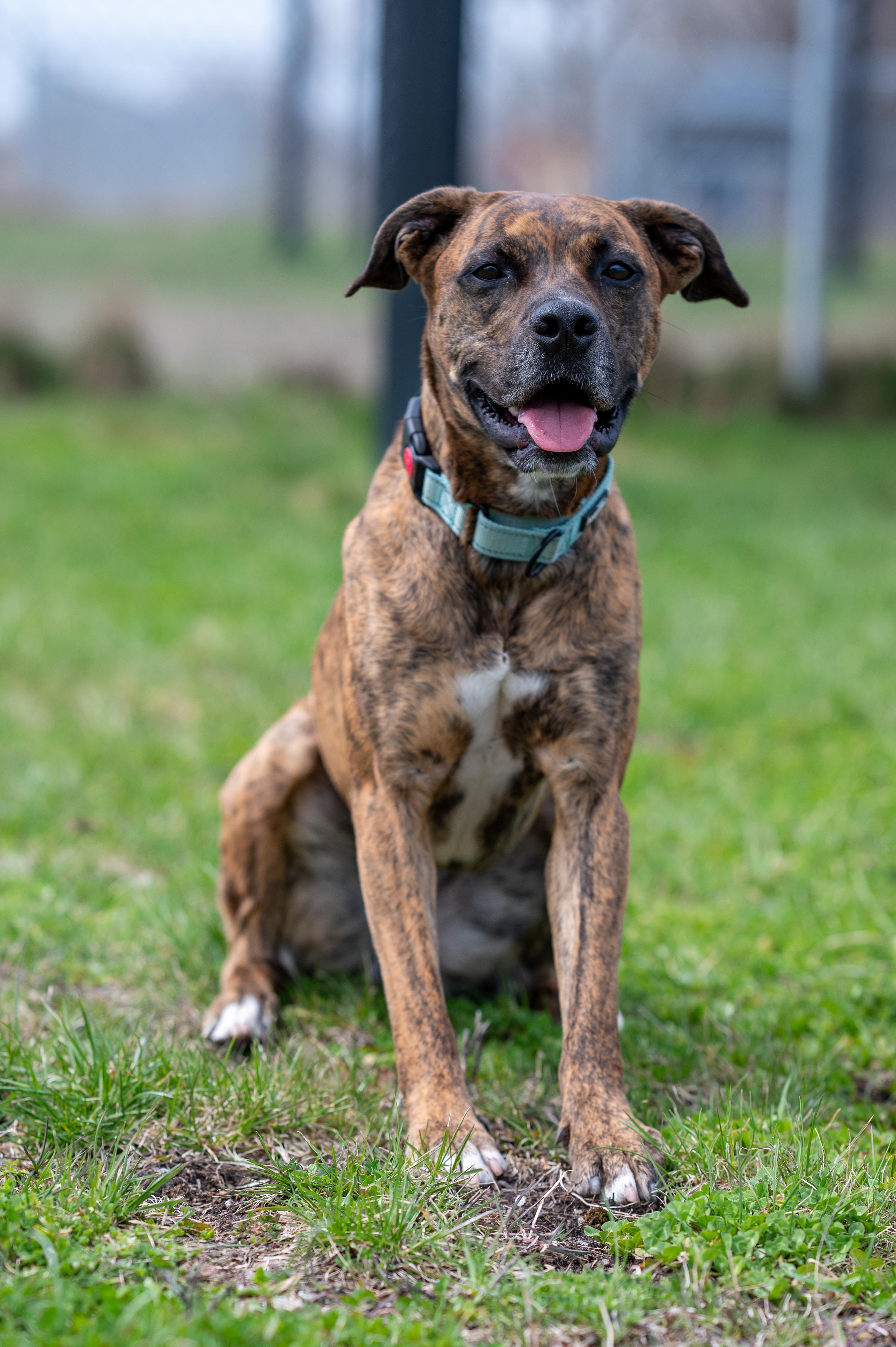 Ripple, Adult Female unknown