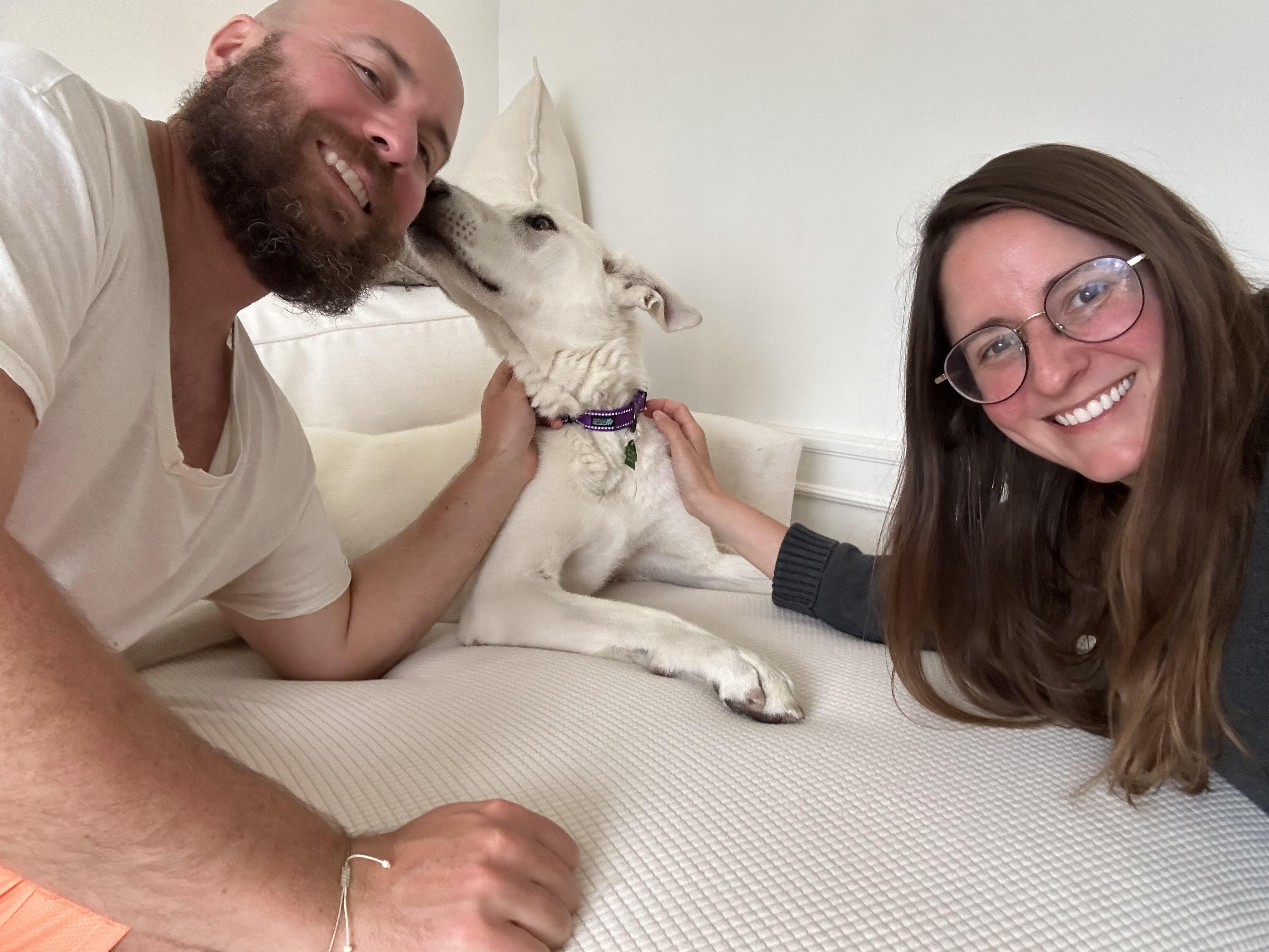 TUNDRA, a Adopted German Shepherd Dog in Petaluma, CA image 5/5