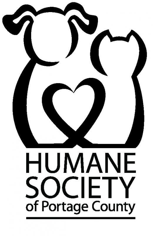 Enlarge Cats (many looking for homes), a ADOPTABLE Domestic Short Hair in Plover, WI image 1/1