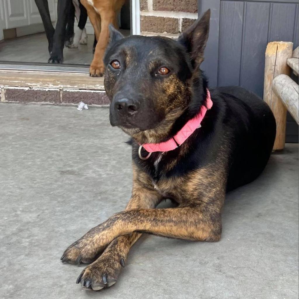 Rizzo — thumbnail 3