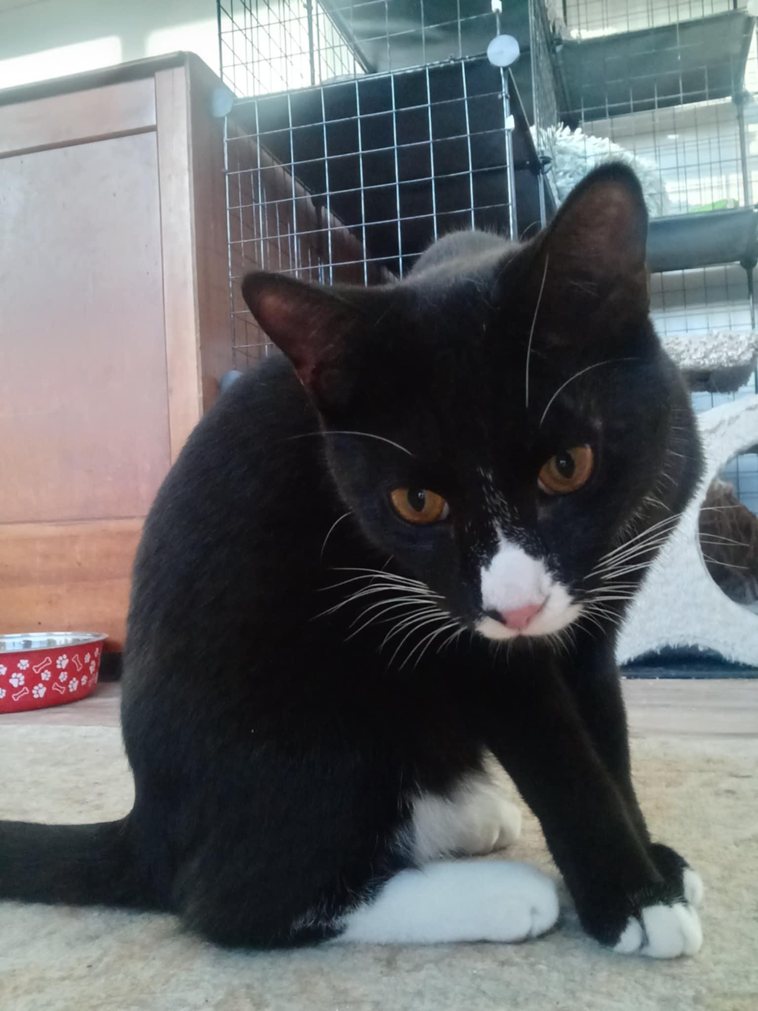 Raymond =^.^=