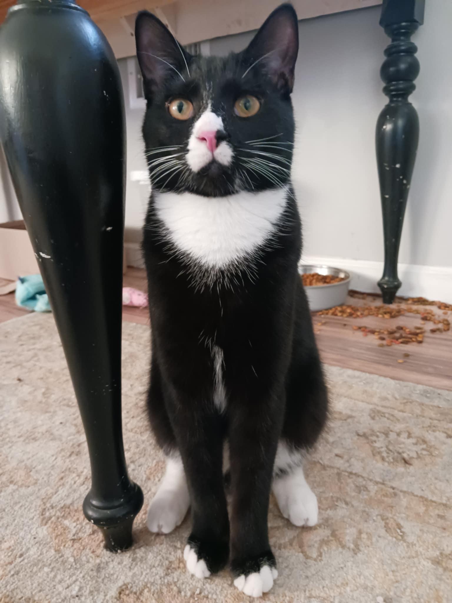 Raymond =^.^=