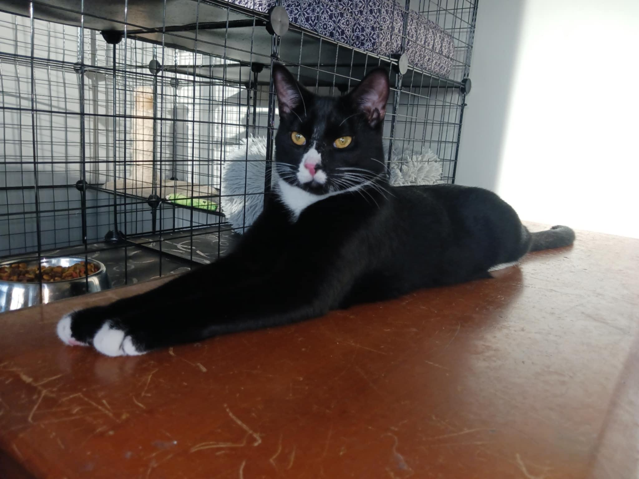 Raymond =^.^=