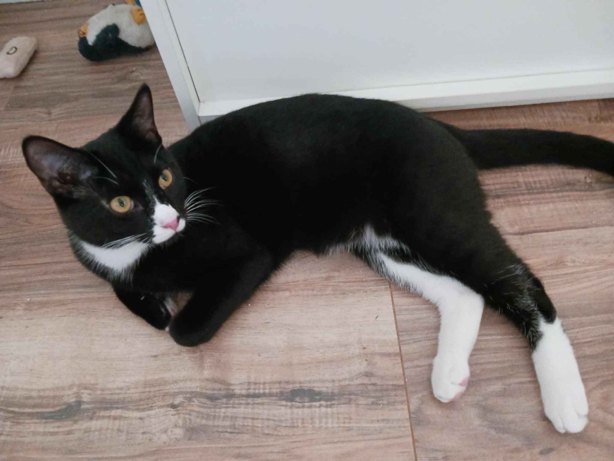 Raymond =^.^=