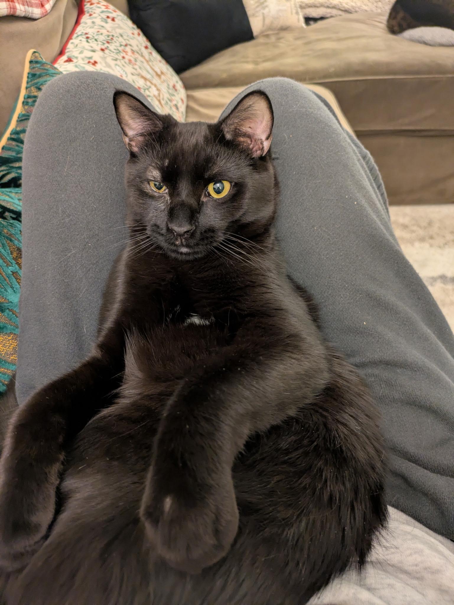 Rockland & Dutchess N. thumbnail 3