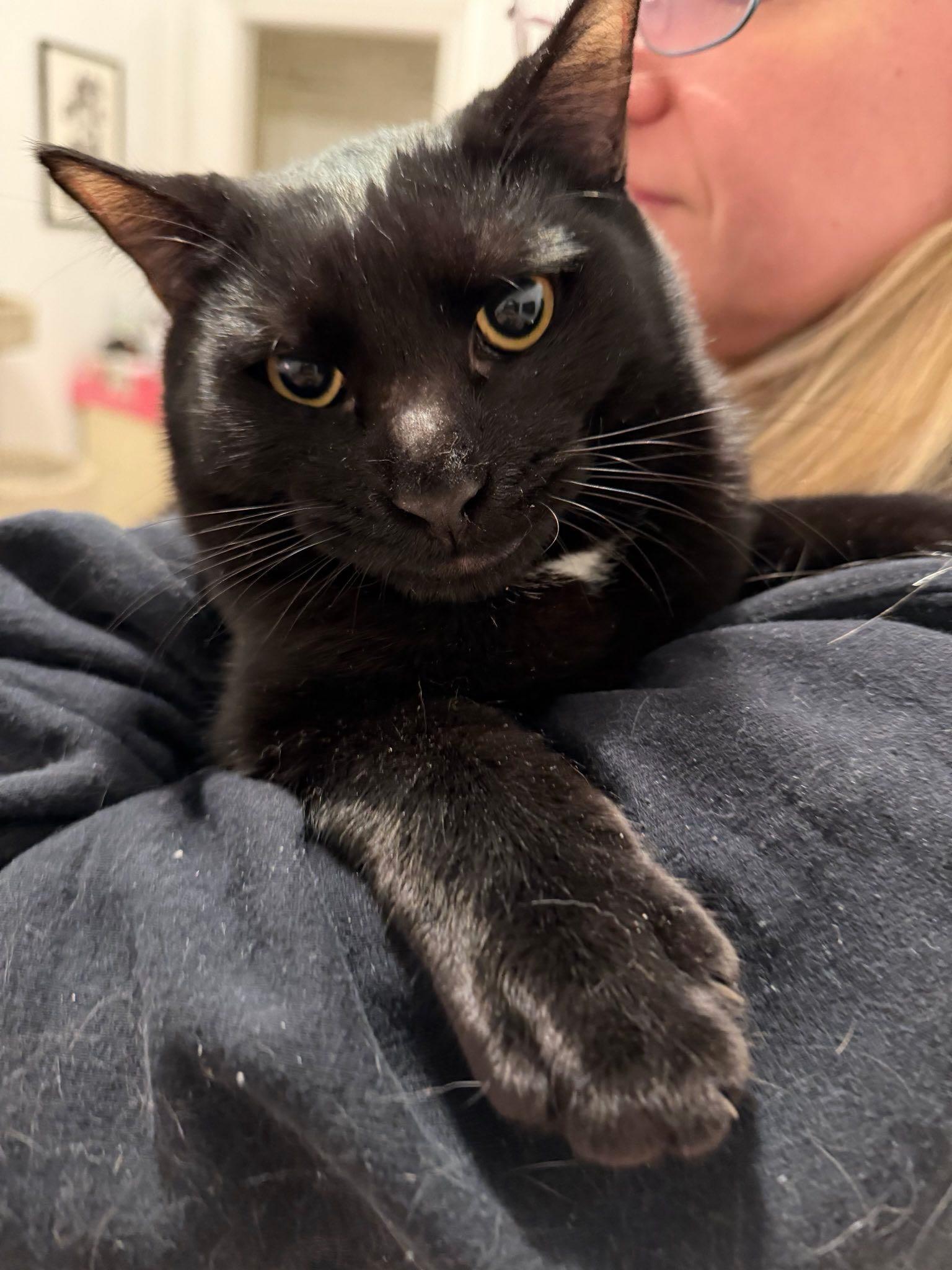 Rockland & Dutchess N. thumbnail 4