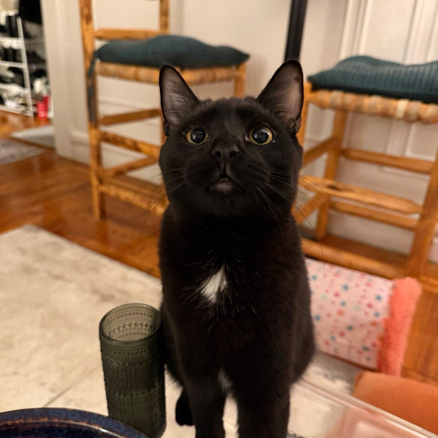 Rockland & Dutchess N. thumbnail 6