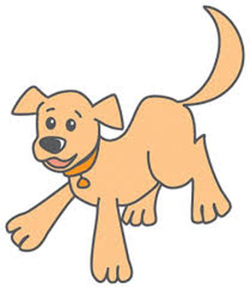 PUPPY FOSTER WANTED!, a Adoptable mixed breed in Farmington, MN image 1/3