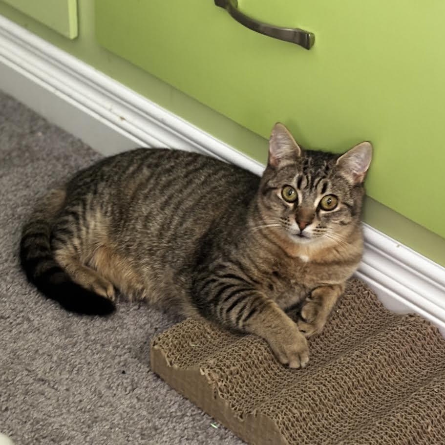 James — thumbnail 2