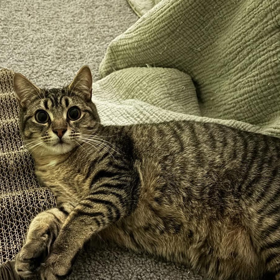 James — thumbnail 3