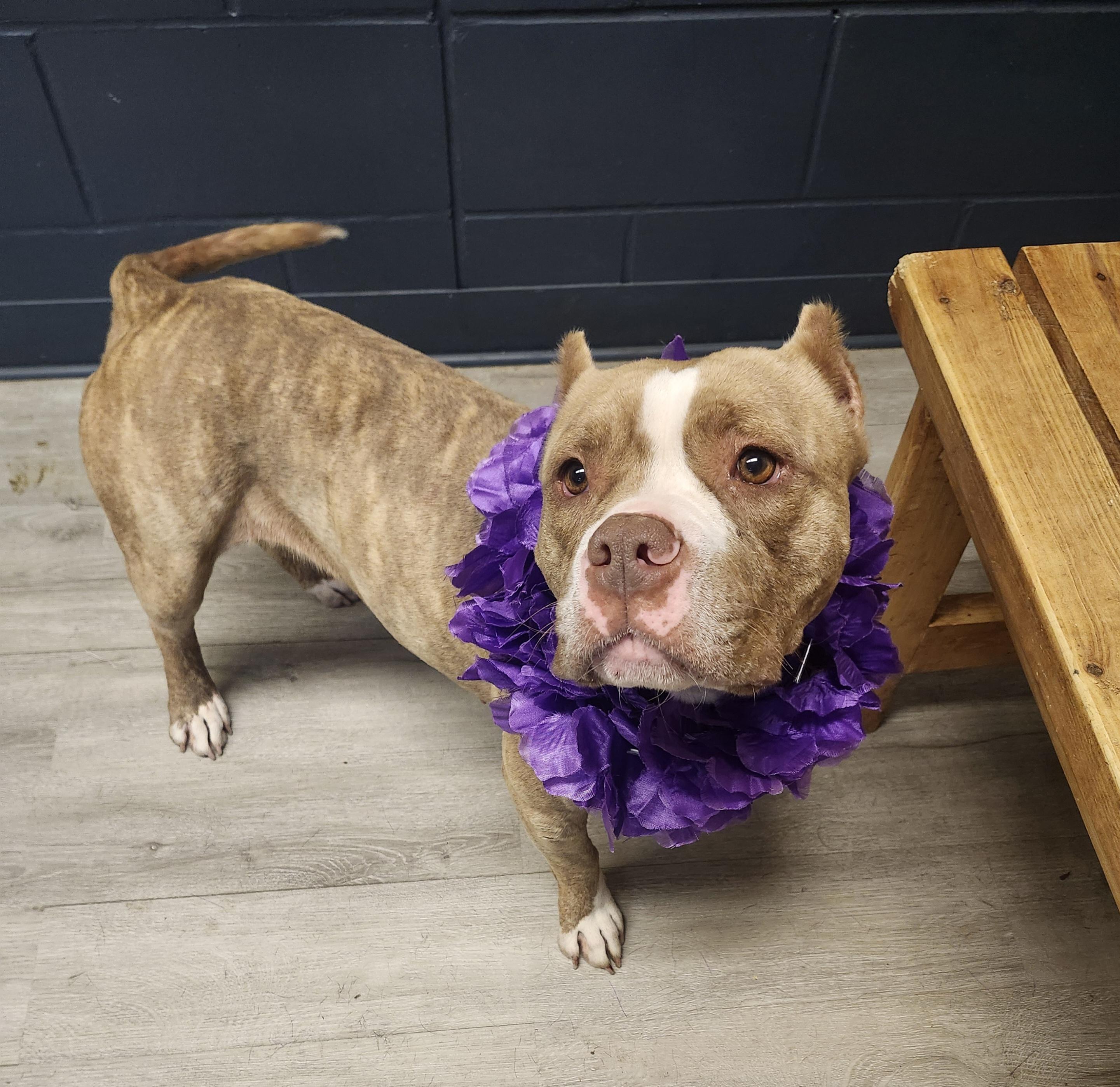 Sourdough thumbnail 2