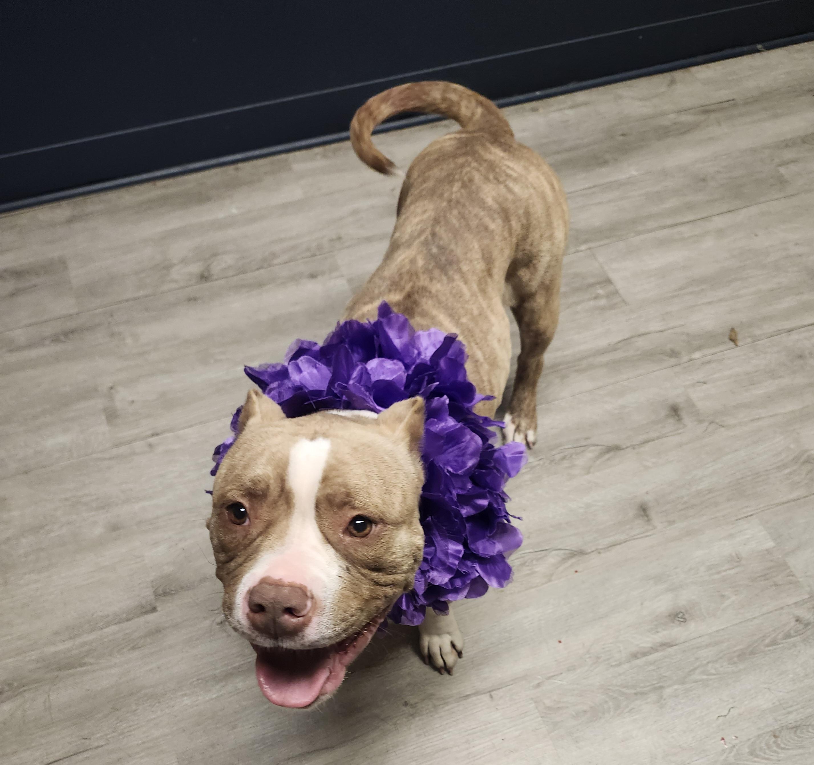 Sourdough thumbnail 4