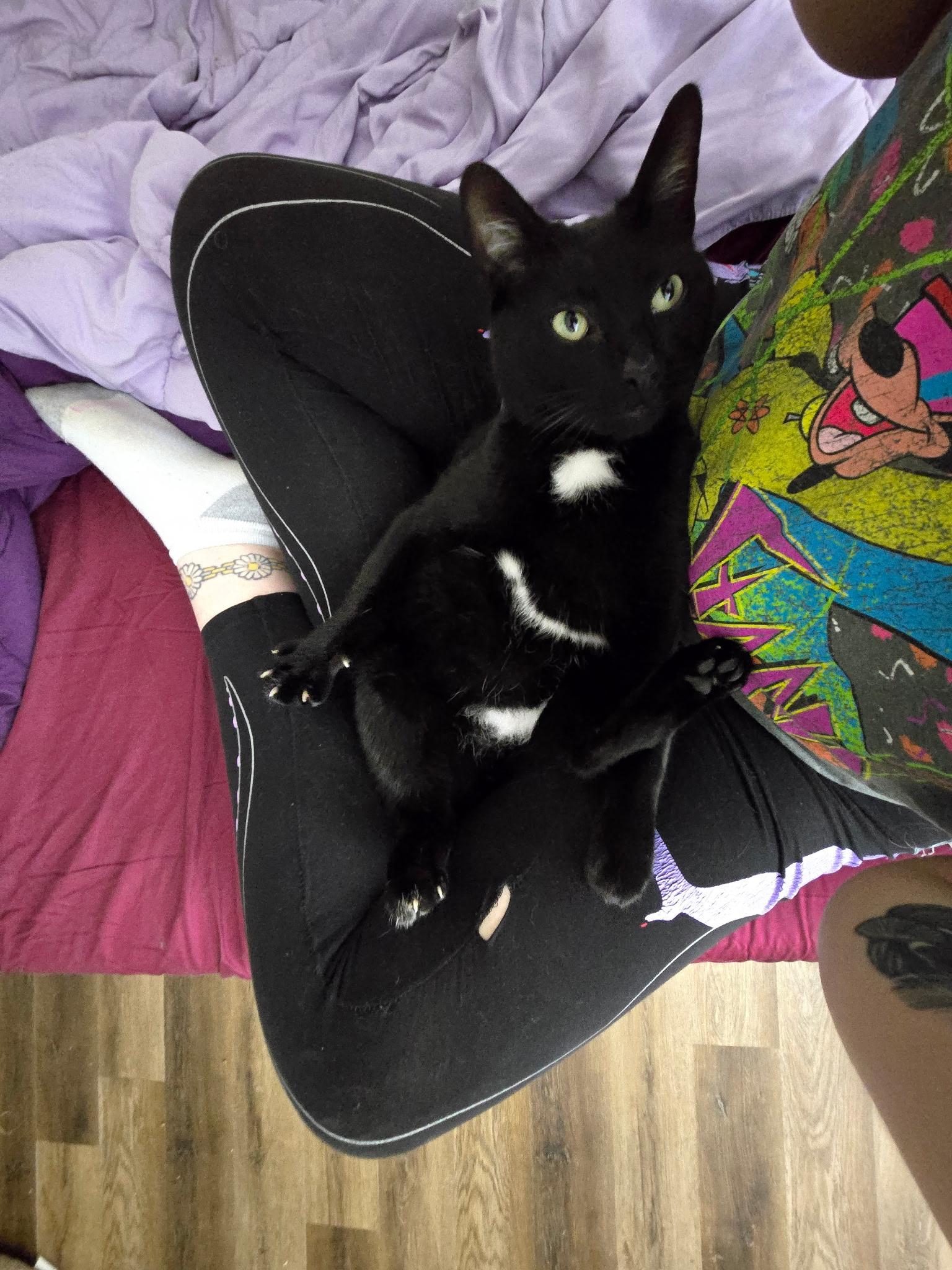 Barnaby — thumbnail 2