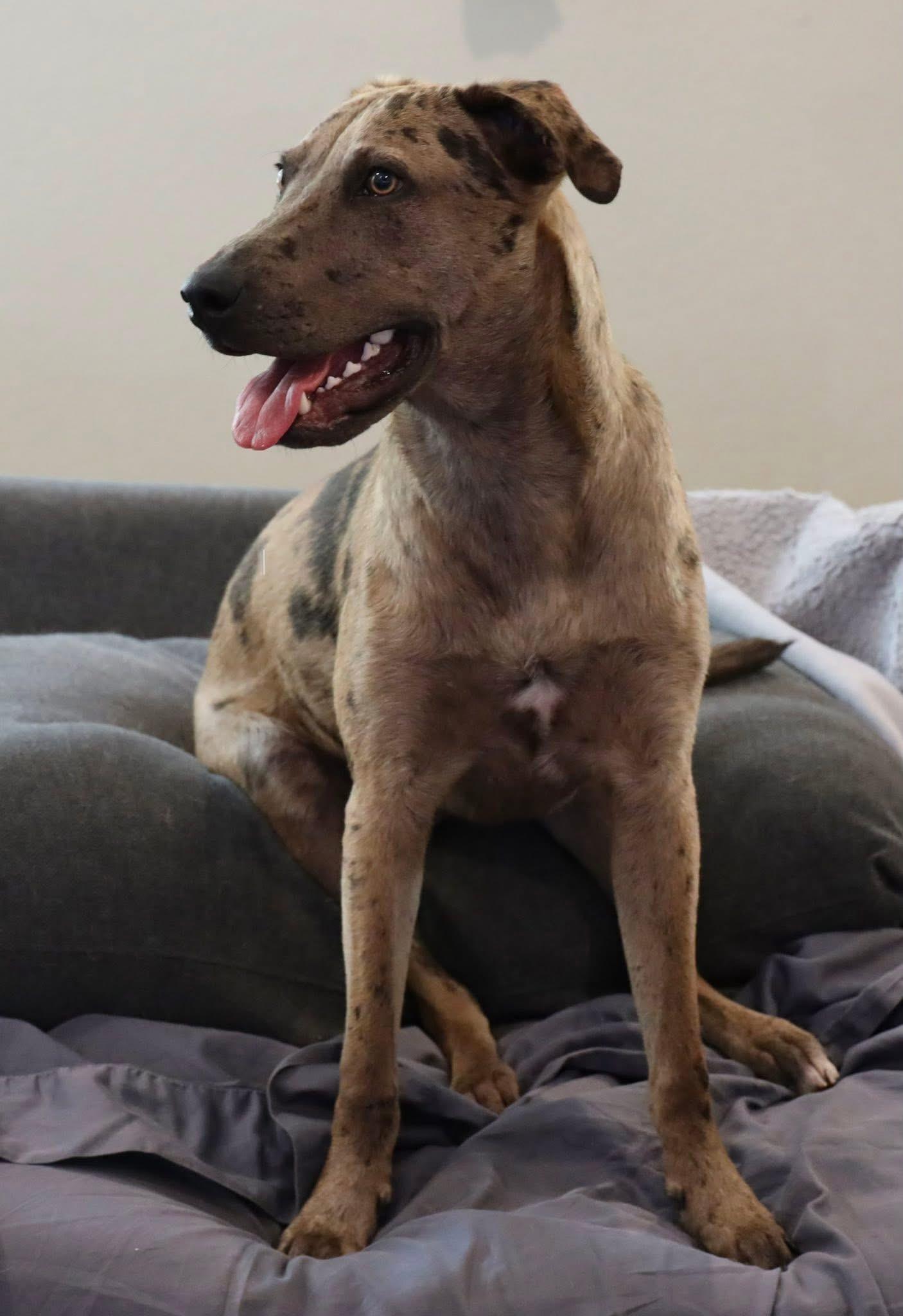Reuben photo 3