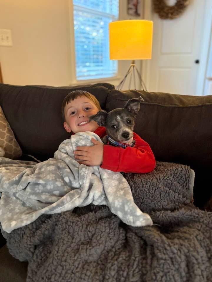 Enlarge Lark, a ADOPTABLE mixed breed in Douglas, MA image 4/6