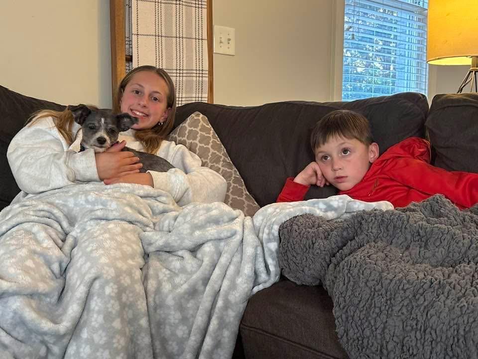 Enlarge Lark, a ADOPTABLE mixed breed in Douglas, MA image 3/6