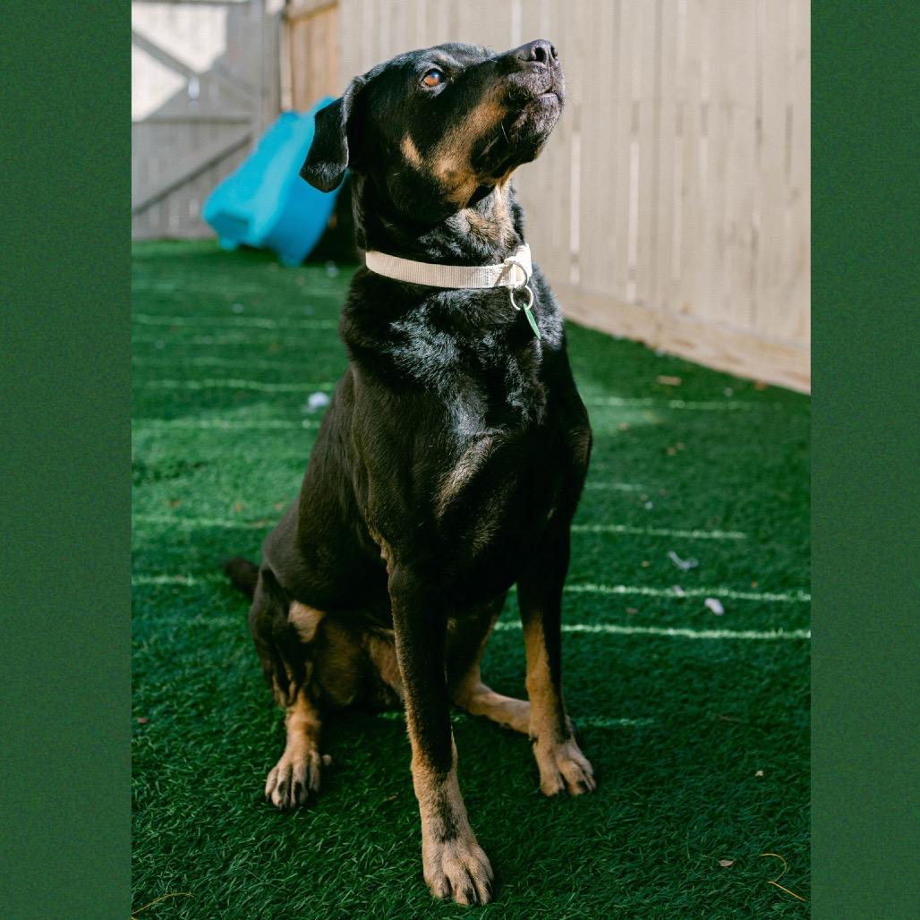 Charlie Parker — thumbnail 2