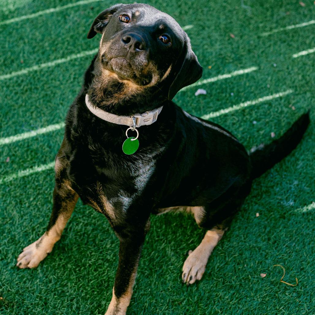 Charlie Parker — thumbnail 3