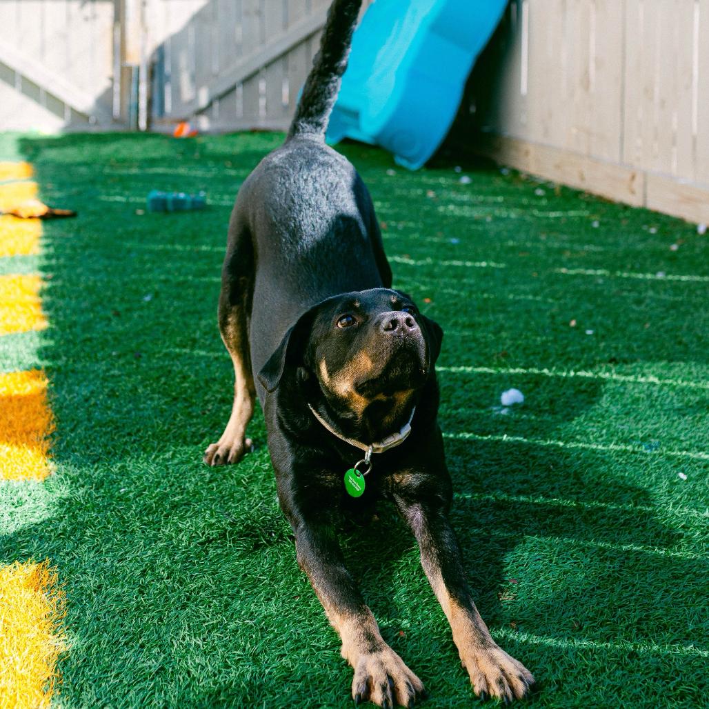 Charlie Parker — thumbnail 4