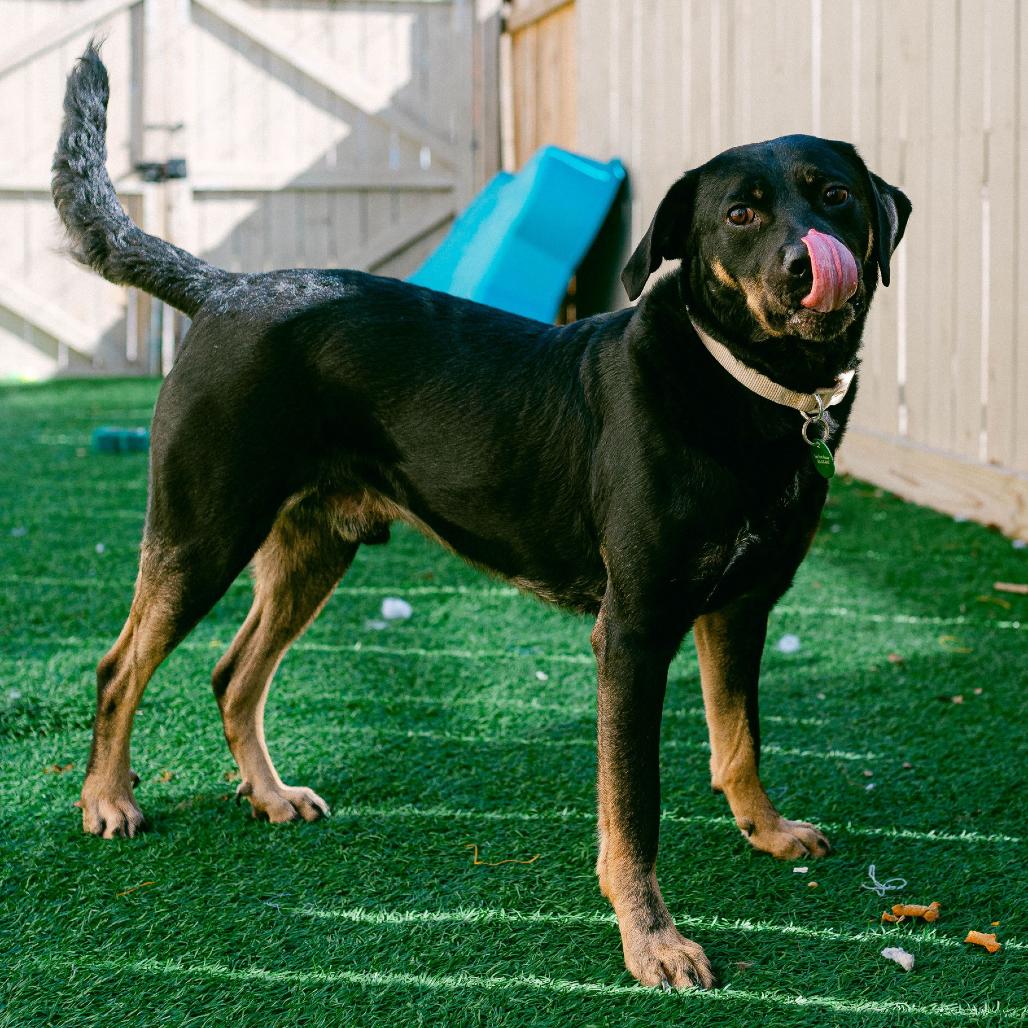 Charlie Parker — thumbnail 5