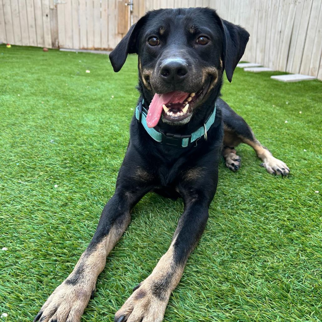 Charlie Parker — thumbnail 6