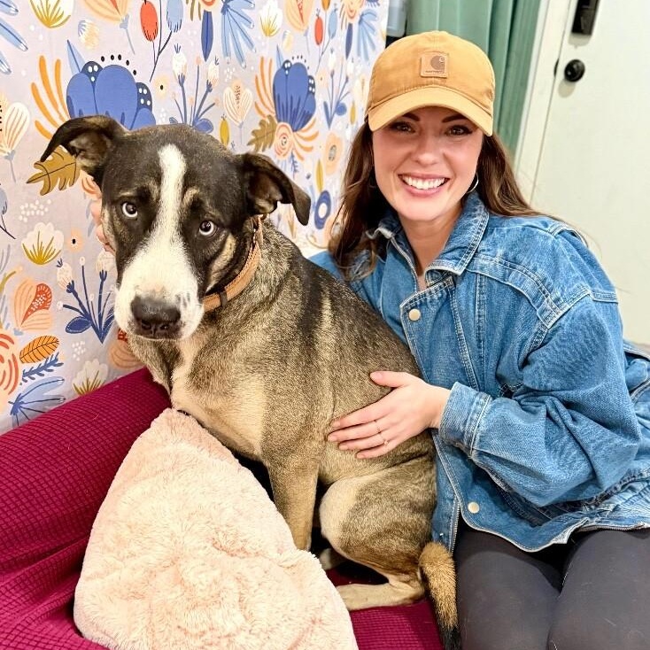 Freddy Potato the Pack Loving Pal — thumbnail 3